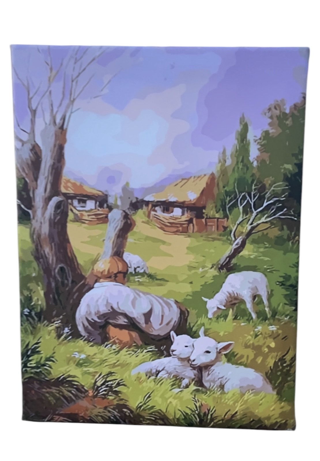 "HIDDEN MAN" Illusion Canvas